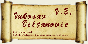 Vukosav Biljanović vizit kartica